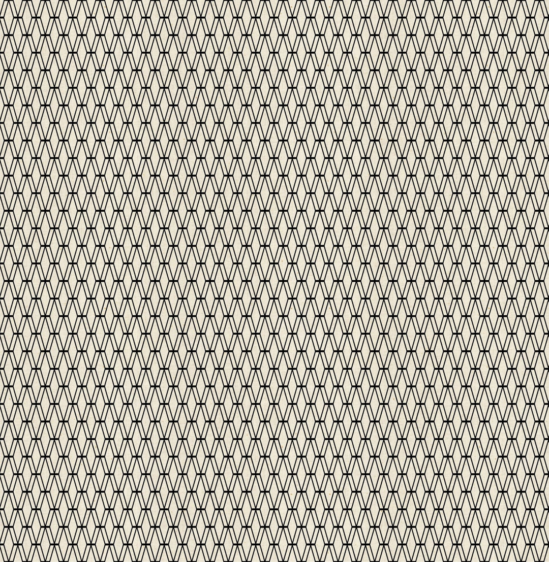 Default Fishnet Stockings - Mishmesh - Cotton + Steel Basics