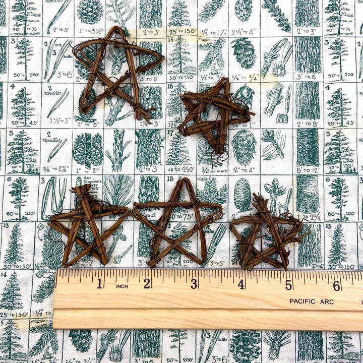 Default Five Grapevine Twig Stars - 1" - 2.5"