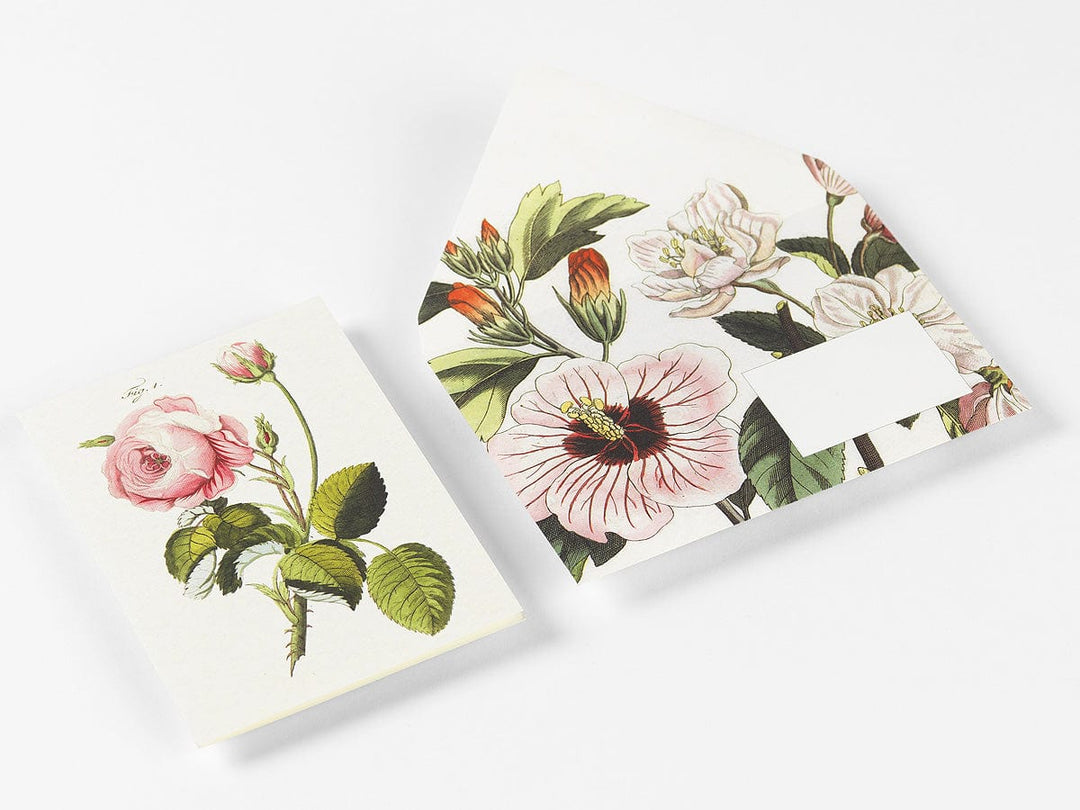 Default Flowers - Pepin Correspondence Set