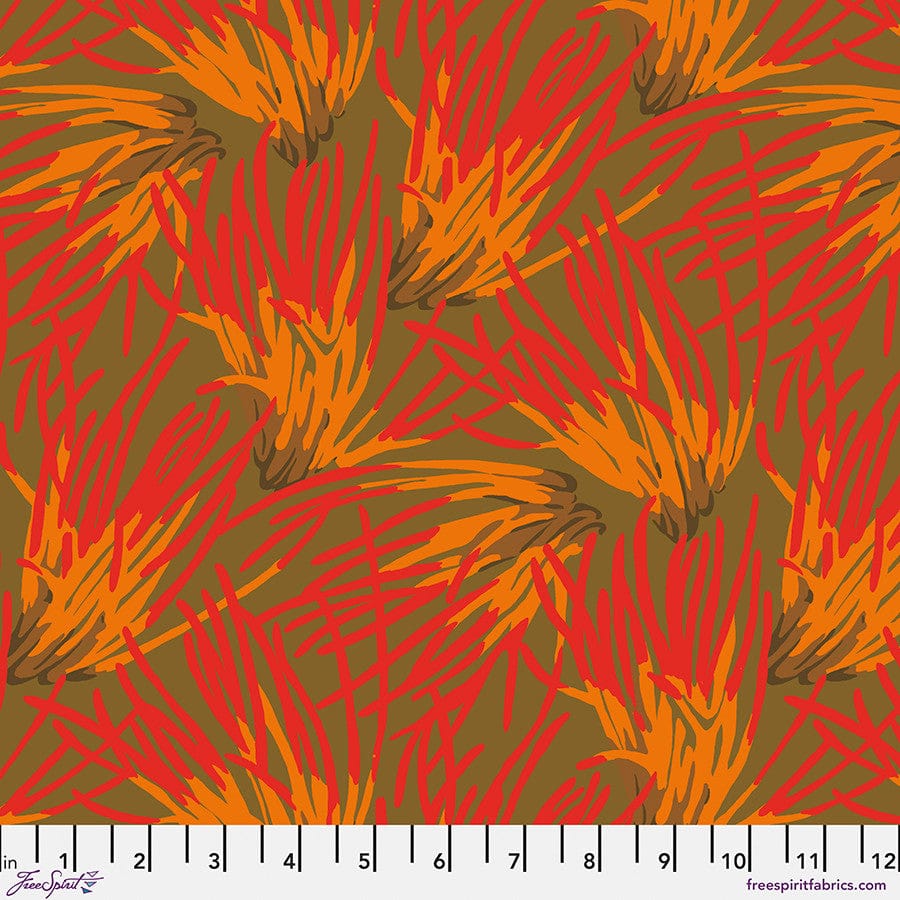 Default Fungi in Olive - Forage - Martha Negley