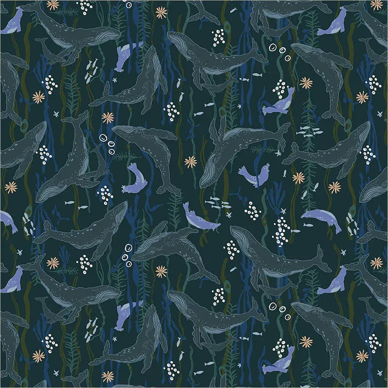 Default Headwaters in Navy - Rocky Coast - Cassandra Zaniboni