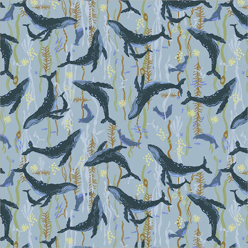 Default Headwaters in Ocean - Rocky Coast - Cassandra Zaniboni