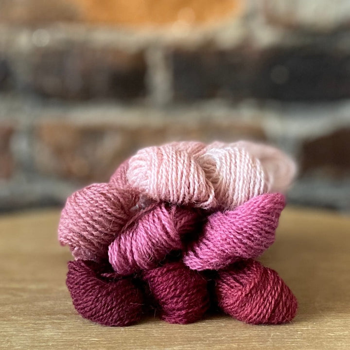 Individual Appleton Crewel Wool Skeins from the Dull Rose Pink Colorway