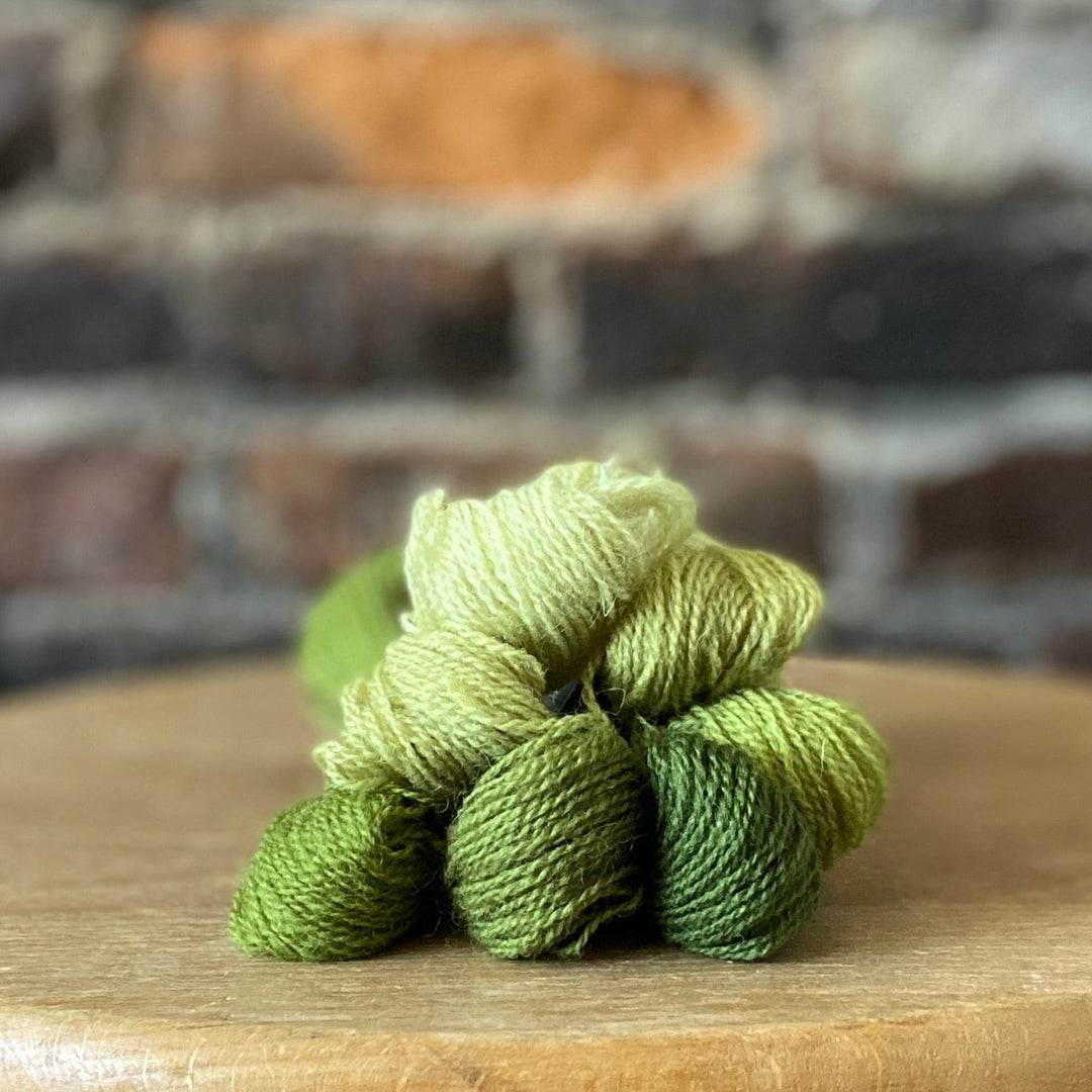 Individual Appletons Crewel Wool Skeins from the Grass Green Colorway