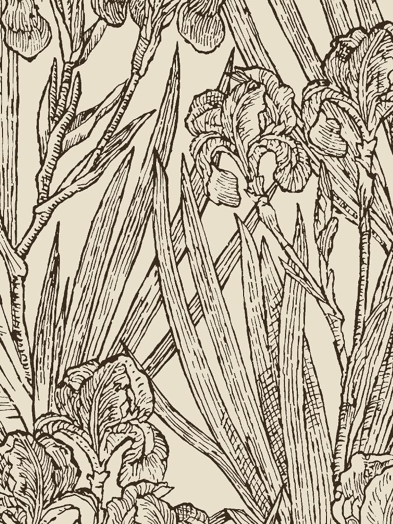 Default Infinite Iris in Black and White - Liberty Tana Lawn Yardage