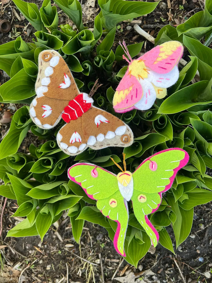 Default Luna, Cecropia, Rosy Maple Moth Ornaments - Whimsey Ornament Kit from Heidi Boyd