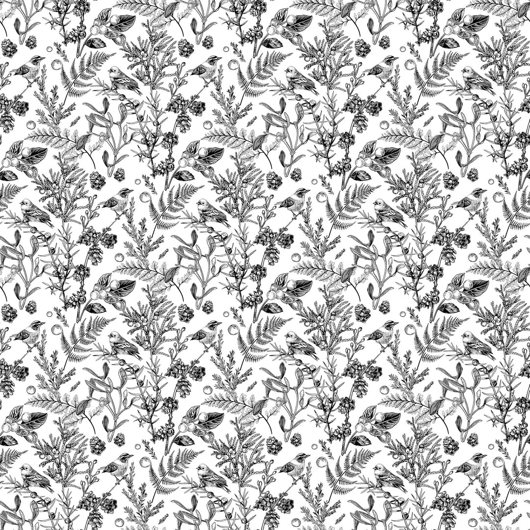 Default Meadowlark in White & Black - Nature's Sketchbook