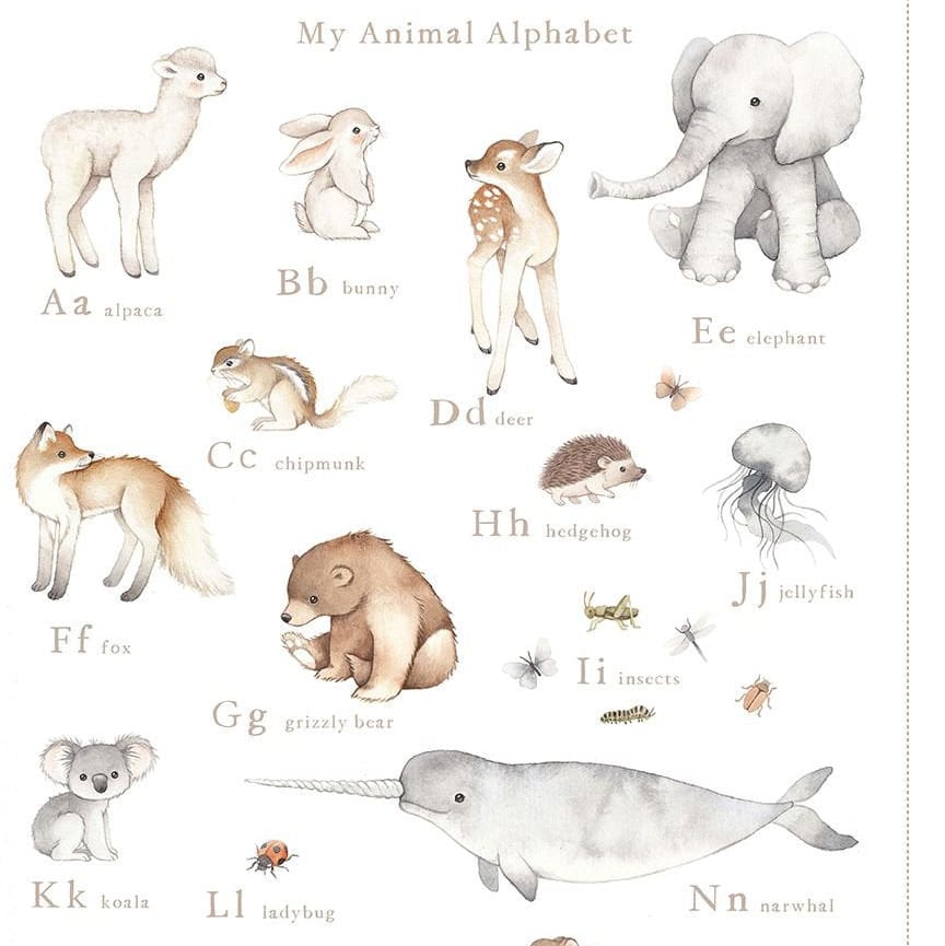Default My Animal Alphabet PANEL - ABCS of Love
