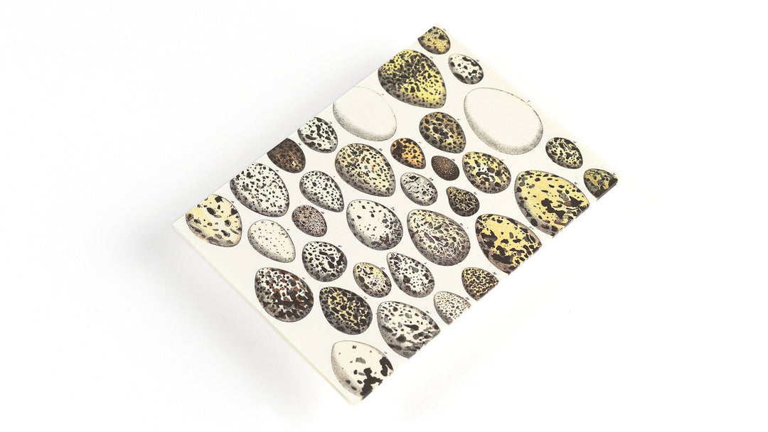 Default Natural History - Pepin Letter Writing Set