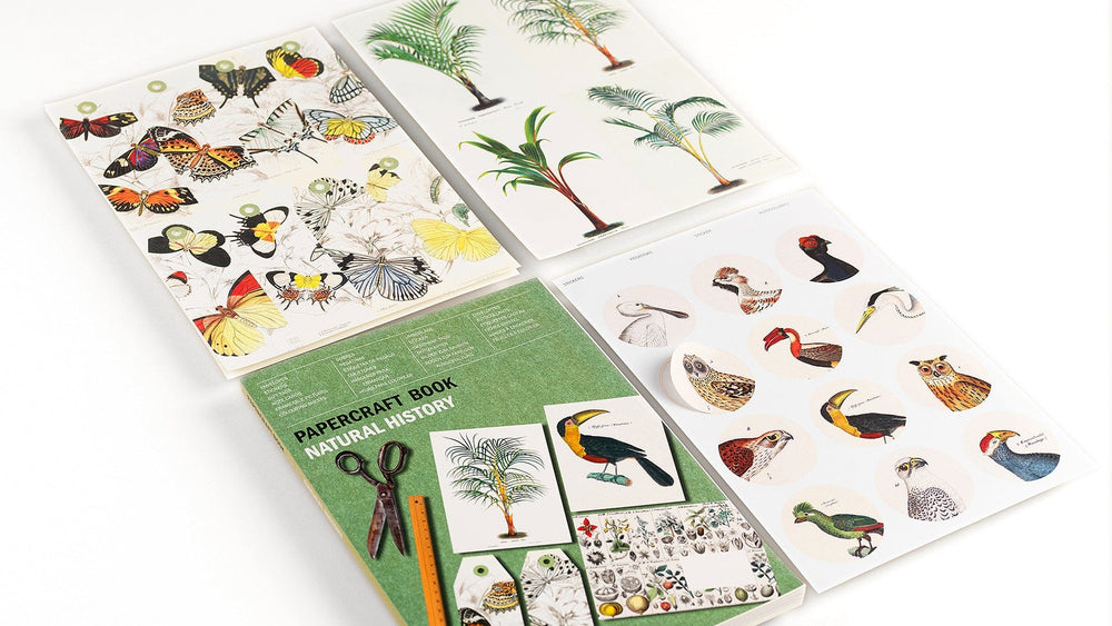 Default Natural History - Pepin Papercraft Book