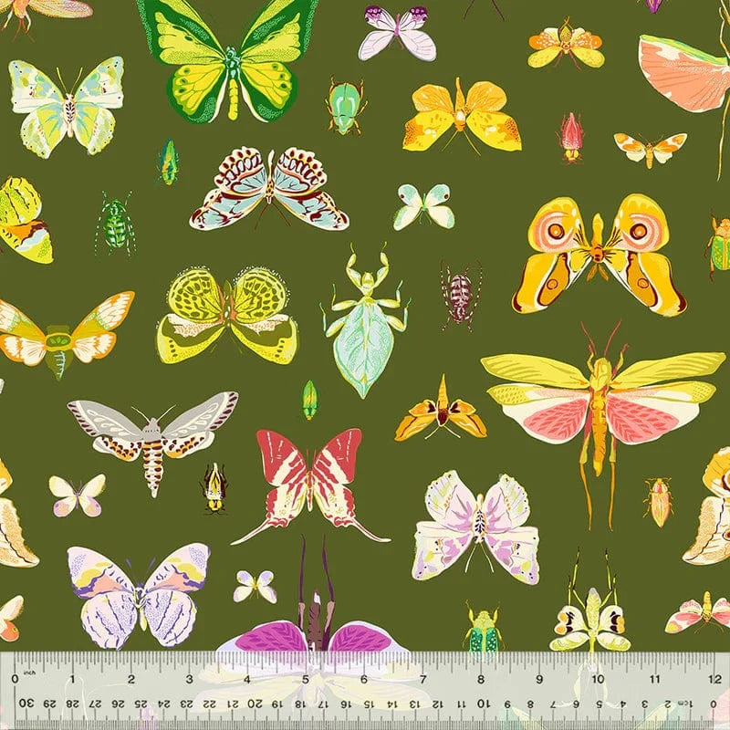 Default On Display in Olive - Insectarium