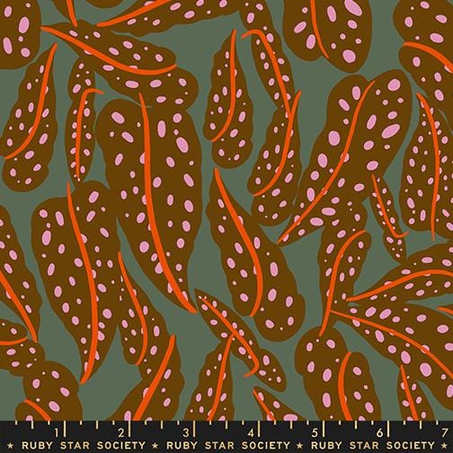 Default Overlapping Leaves in Cocoa - Calathea - RSS