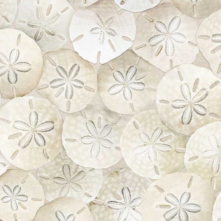 Default Packed Sand Dollars on Beach in Sand - Timeless Treasures