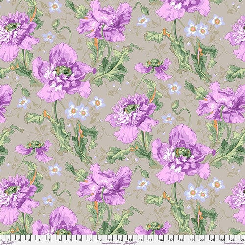 Default Papaver in Grey - Phillip Jacobs for Kaffe Fassett