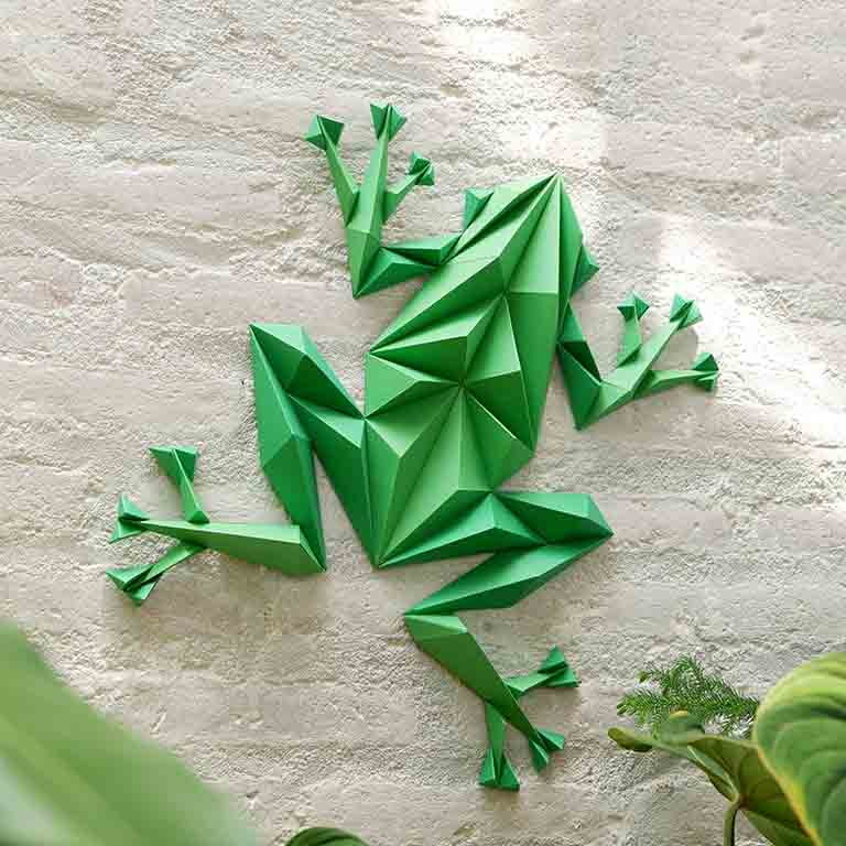 Default Papercraft World 3D Wall Art Kit - Tree Frog