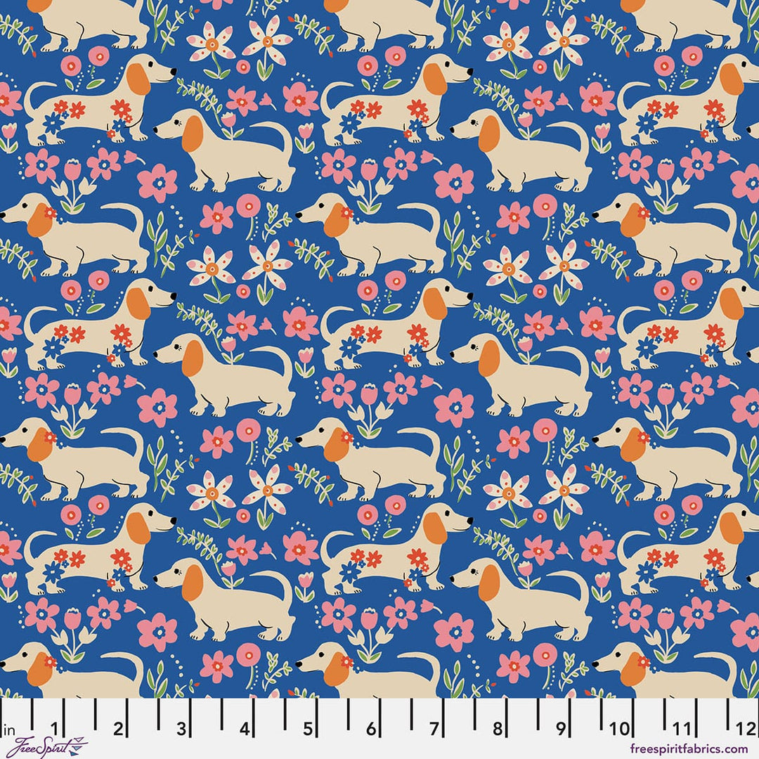 Default Pemberley Pups in Delft - Stannie & Lloyd - August Ellery