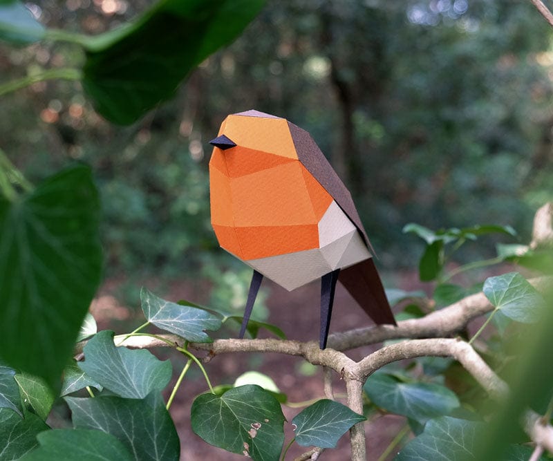 Default Plego 3D Paper Bird Kit - Erithacus Rubecula