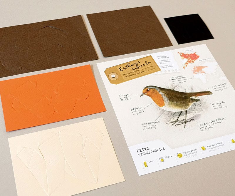 Default Plego 3D Paper Bird Kit - Erithacus Rubecula