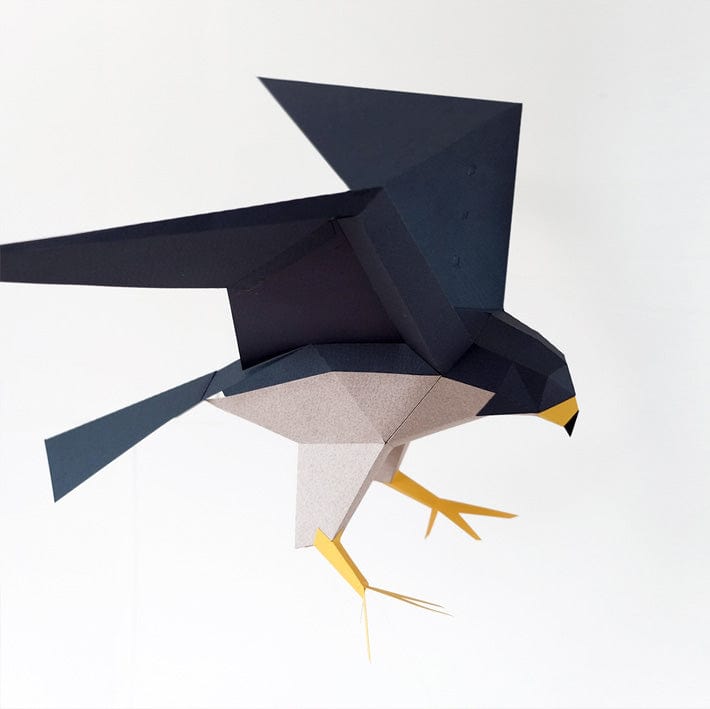 Default Plego 3D Paper Bird Kit - Falco Pergrinus