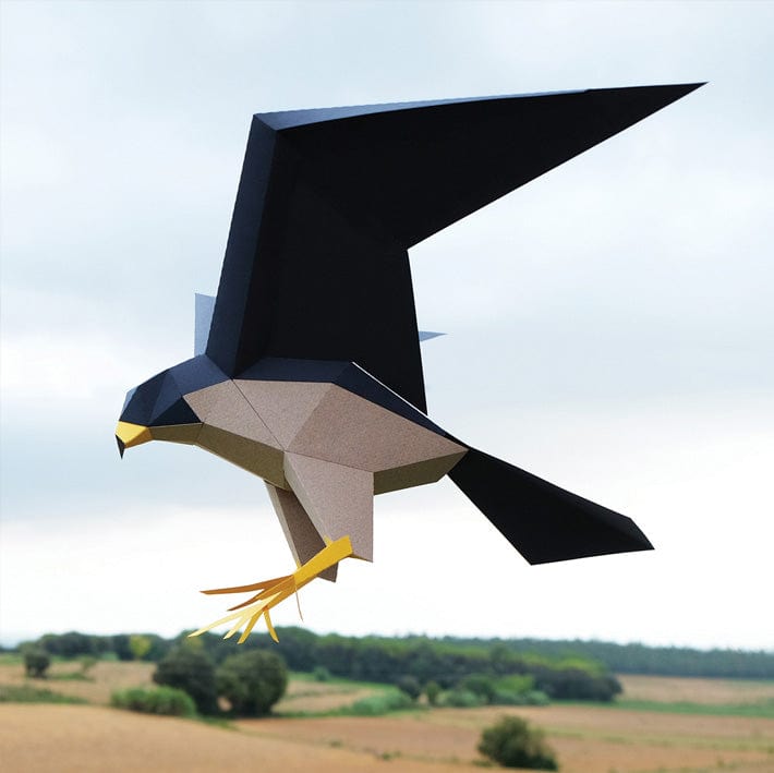 Default Plego 3D Paper Bird Kit - Falco Pergrinus