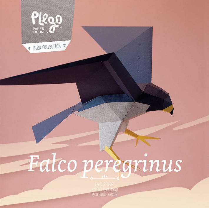 Default Plego 3D Paper Bird Kit - Falco Pergrinus