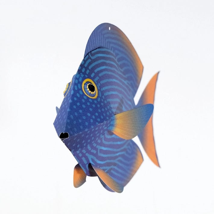 Default Plego 3D Paper Fish Kit - Strigosus