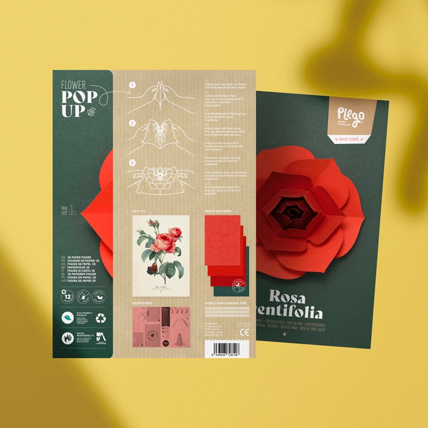 Default Plego 3D Pop-Up Paper Flower Kit - Rosa Centifolia