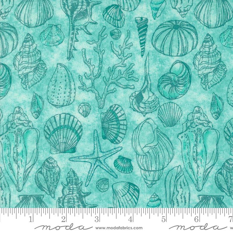 Default Sketchy Shells in Aqua - Serena Shores