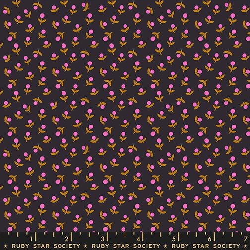 Default Sprout in Black - Catnap - Ruby Star Society