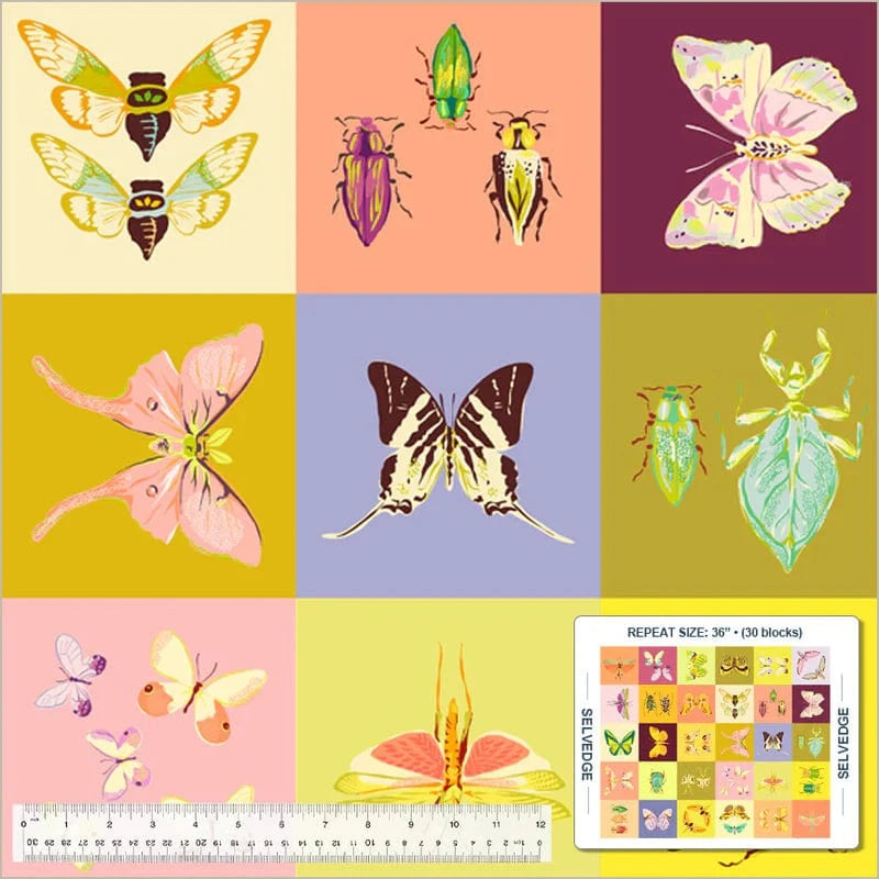 Default Square Dance in Multi PANEL - Insectarium