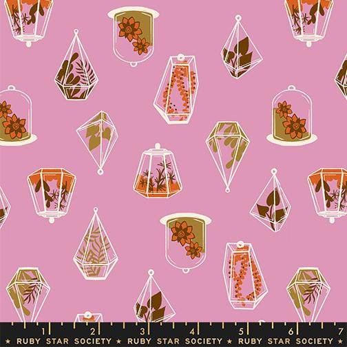 Default Terrarium in Kiss - Calathea - RSS