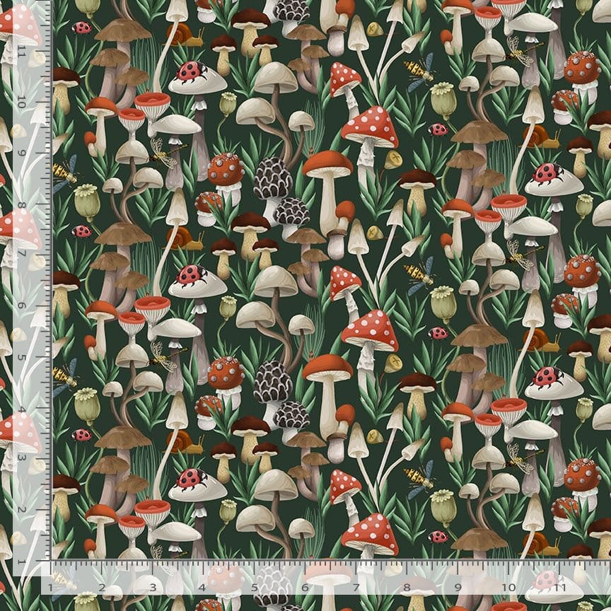 Default The Fungi Kingdom in Forest - Moth to a Flame