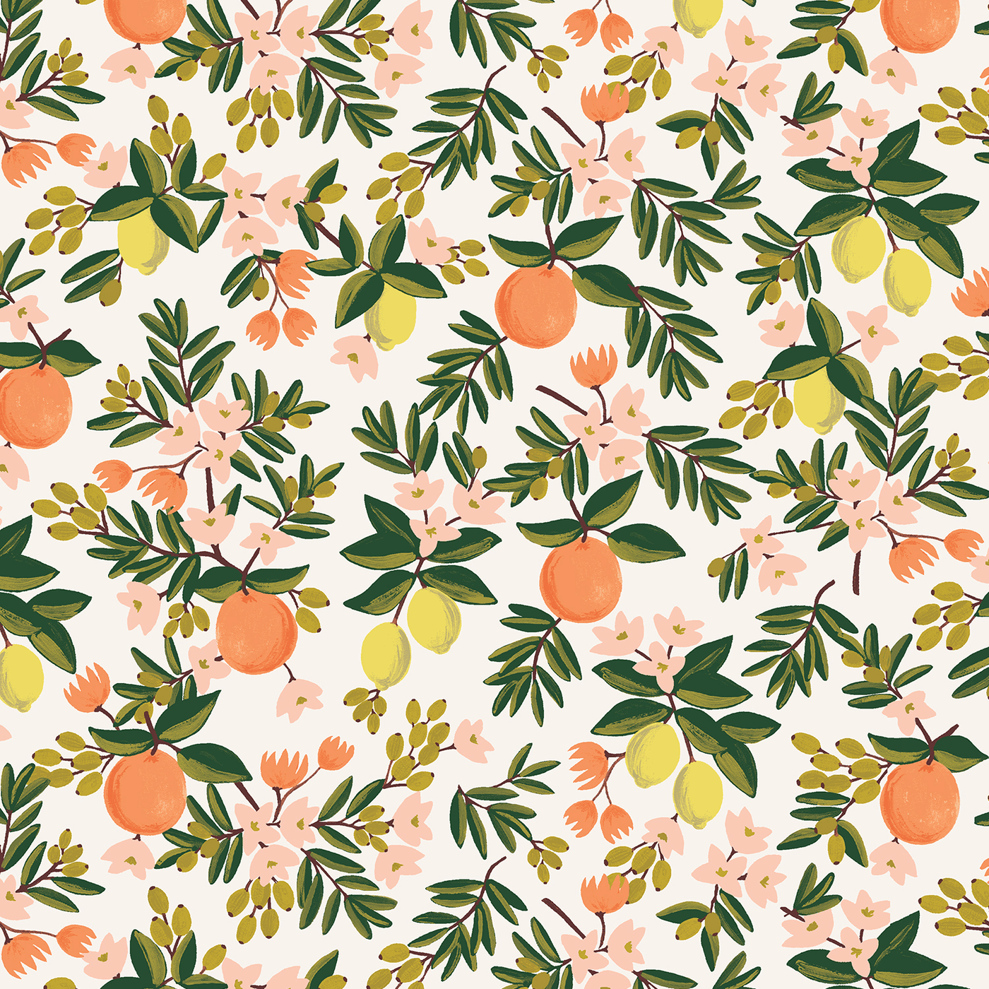 Citrus Floral in Cream ~ Primavera by Rifle Paper Co.