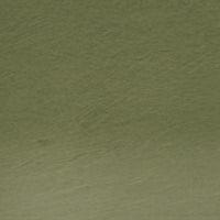 Derwent Watercolor Pencil in 51 Olive Green