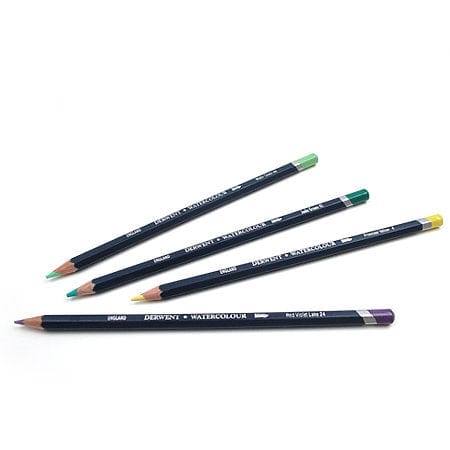 Derwent Watercolor Pencil in 60 Burnt Yellow Ochre