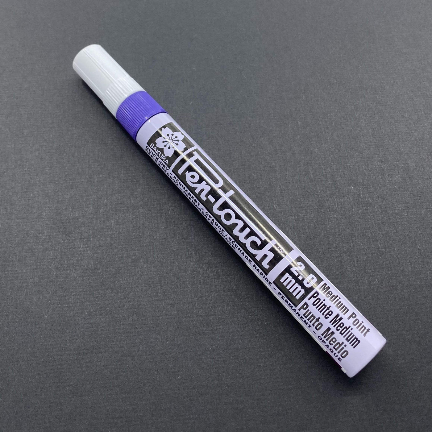 Purple Pen-Touch Paint Markers ~ Medium ~ 2mm Tip