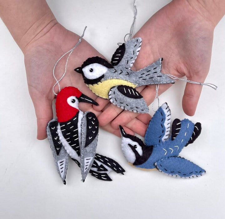 Whimsy Ornament Kit - Woodpecker, Nuthatch, and Chickadee  - Heidi Boyd
